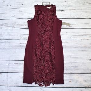 NWT NY&CO EVA MENDES BURGUNDY LACE DRESS  MEDIUM